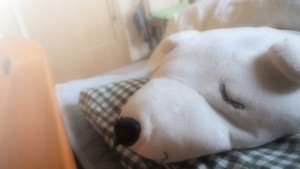 68545029e99fff8f418979eb82593b36_s