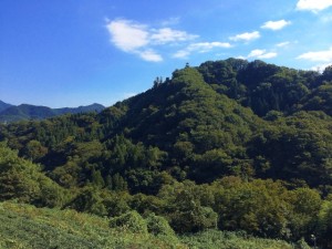 a82fc0a996029f15697db98501025452_s